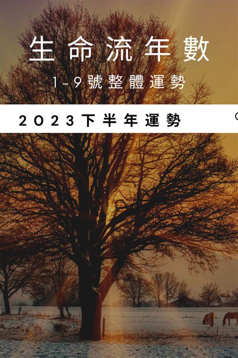 2023生命靈數流年2|生命靈數「2023流年運勢」解析：流年1